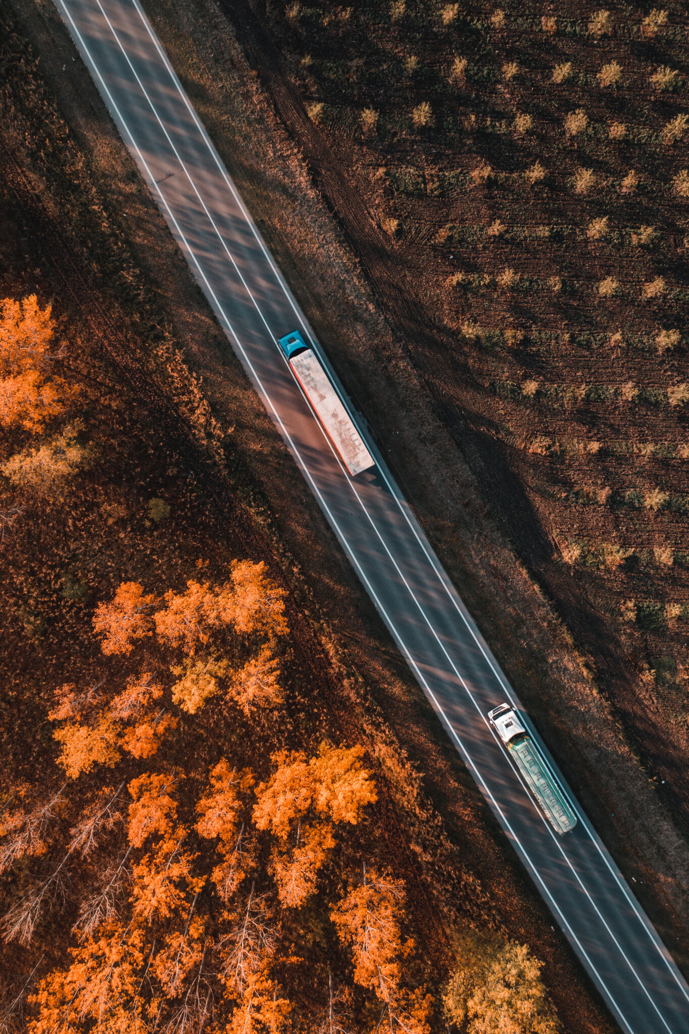 Aerial Shot Of Two Trucks On The Road Through Deciduous Forest I